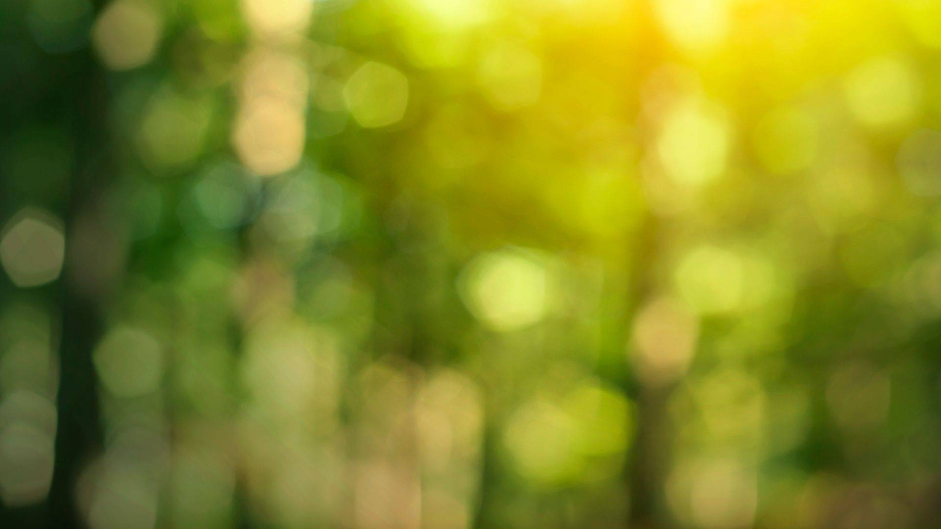 Funktionaalinen lähestymistapa terveydenhoidossa 8 kuulopuhetta hero