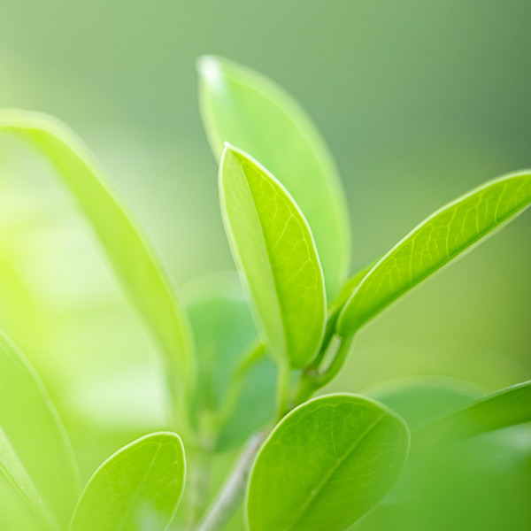 tuotteet hyvinvointiin2