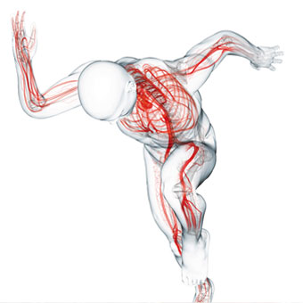 box bemer mensch estimar 1