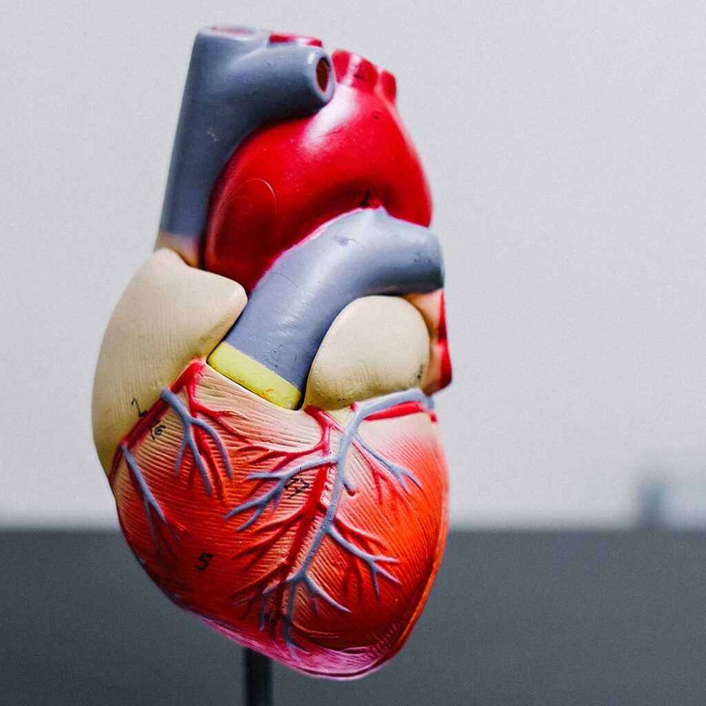 Magnesium ja saksalainen sika