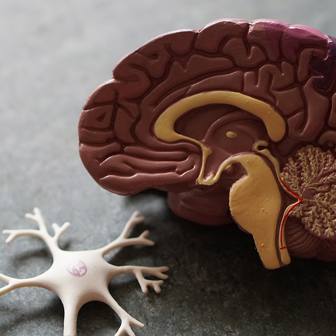 Kalium (K) ja Magnesium (Mg) – suolan kavereita