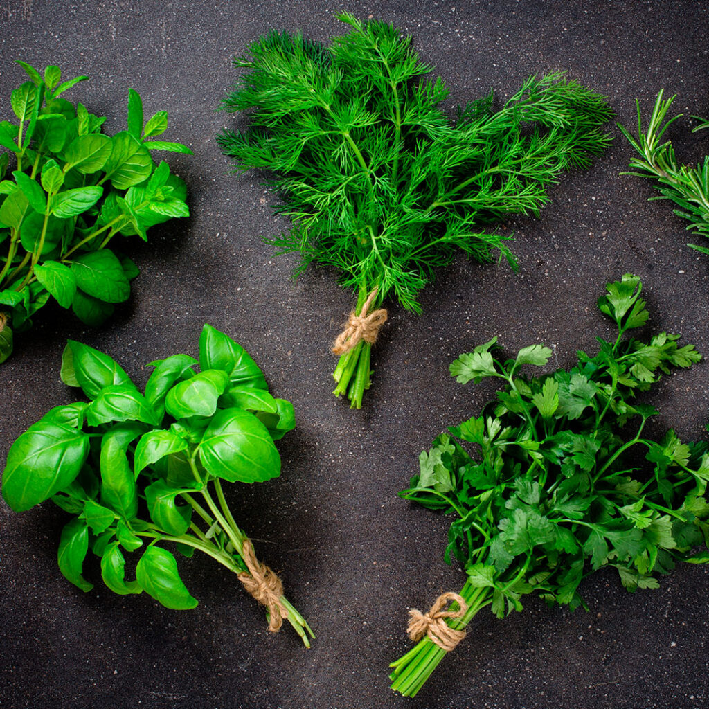 Kasvilääkintä on ikivanha hoitomuoto