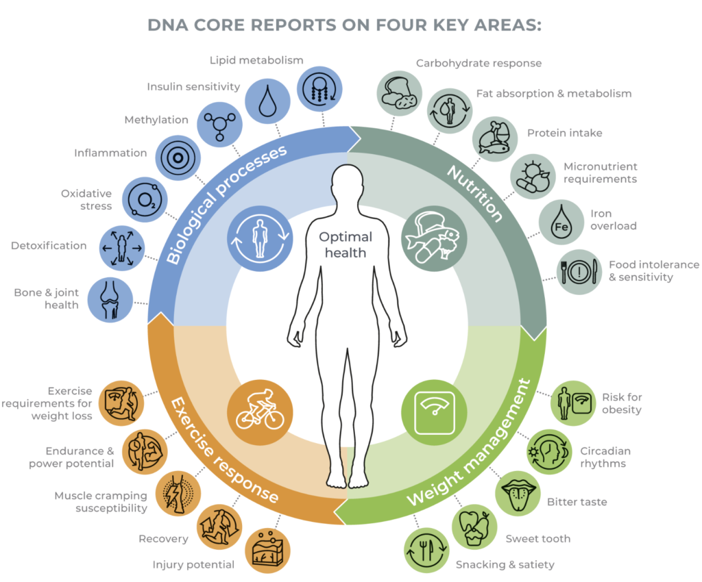 Kuukauden etu | Ajankohtaiset hyvinvointiedut 1 dna core nordic laboratories