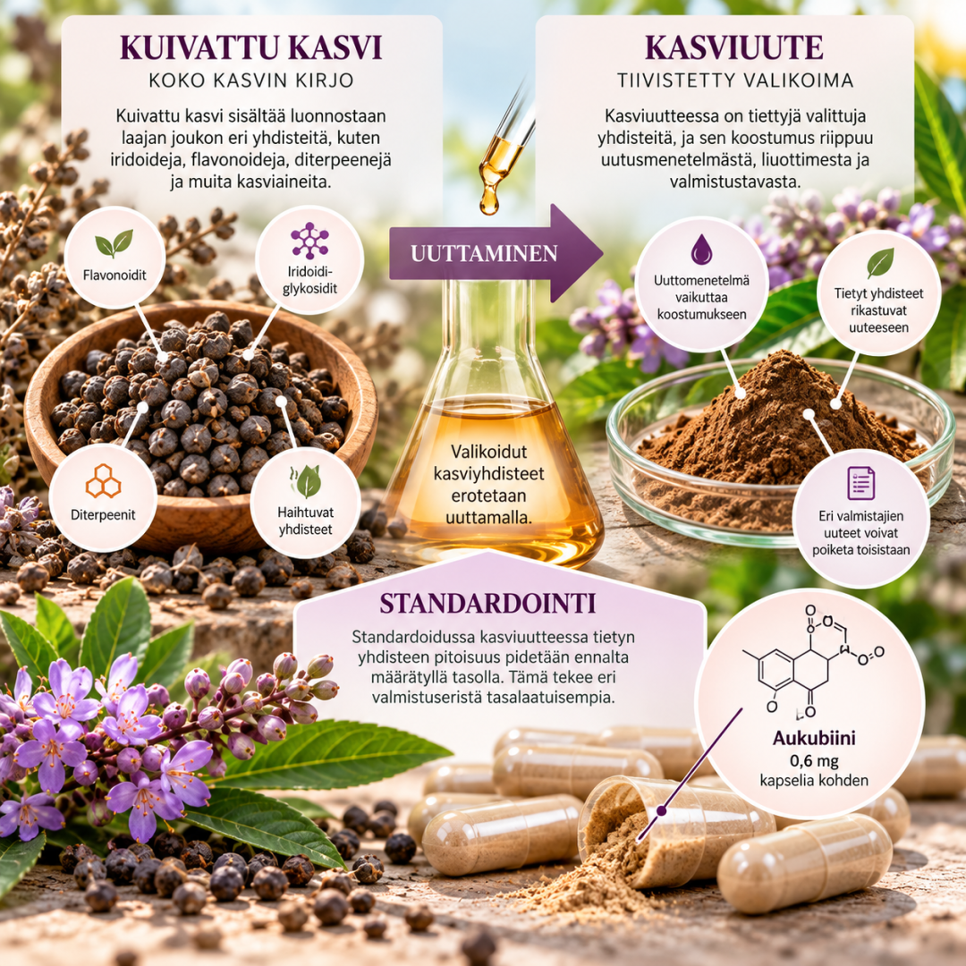 Vitex kuvituskuva